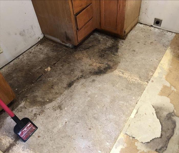 mold damaged on floor