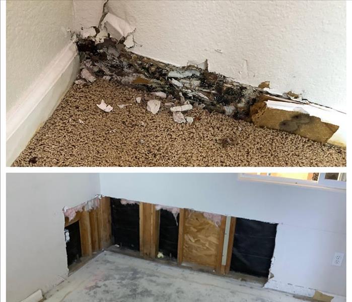  mold damage before and after remediation